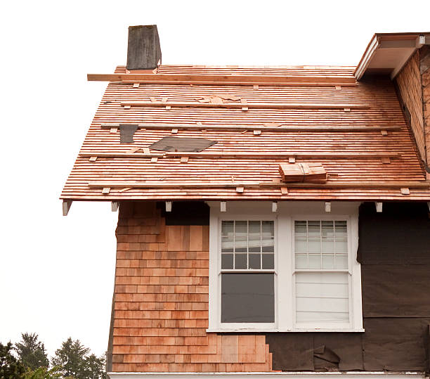 Affordable Siding Repair and Maintenance Services in Jefferson City, TN